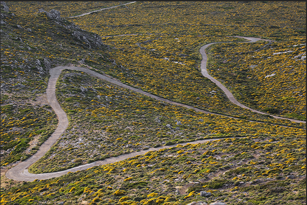 The road leading up to the monastery of Al Giorghis Vauno (330 m)