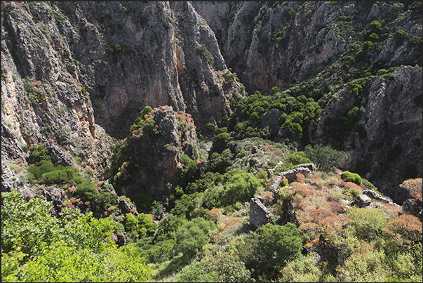 The ruins of the ancient castle of Paleochora near the village of Potamos (center of the island) The ruins of the ancient castle of Paleochora near the village of Potamos (center of the island)