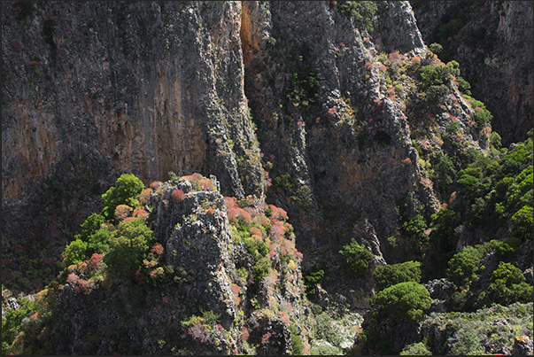 The path that from the sea passing through narrow valleys reaches the ruins of the castle of Paleochora The path that from the sea passing through narrow valleys reaches the ruins of the castle of Paleochora