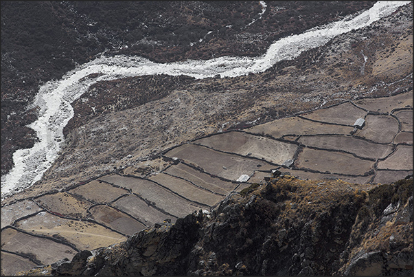 Fields near the village of Dingboche (4410 m) Fields near the village of Dingboche (4410 m)