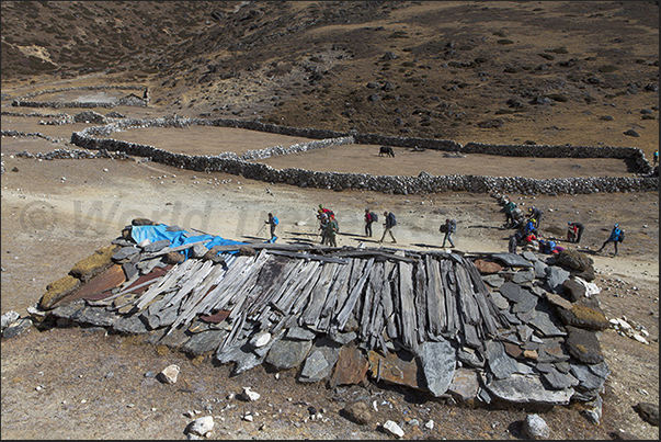 The path towards the village of Lobuche. A pasture for yaks The path towards the village of Lobuche. A pasture for yaks