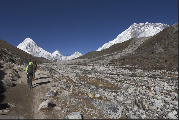 Towards Lobuche. From right: Nuptse 7864 m, Khumbutse 6639 m, Lingtren 6713 m, Pumo Ri 7165 m Towards Lobuche. From right: Nuptse 7864 m, Khumbutse 6639 m, Lingtren 6713 m, Pumo Ri 7165 m