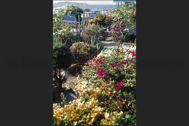 Gorda Island. Gardens Park The Baths Gorda Island. Gardens Park The Baths