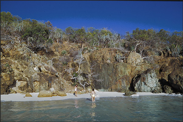 Cliffs of Prickly Pear Island Cliffs of Prickly Pear Island