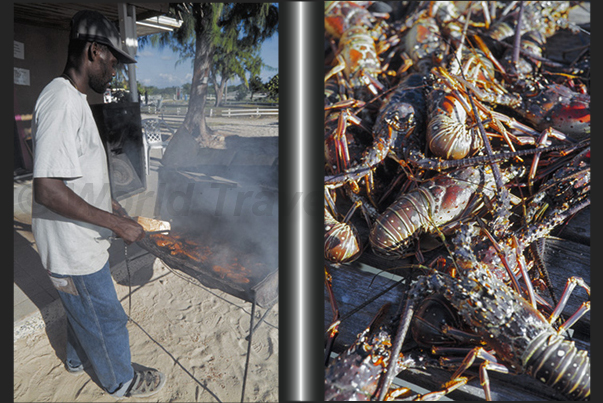 Anegada Island. Lobster breeding (south-west side of the island)