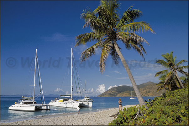 Sandy Cay Island