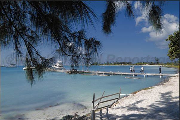 Anegada Island, Setting Point Marina