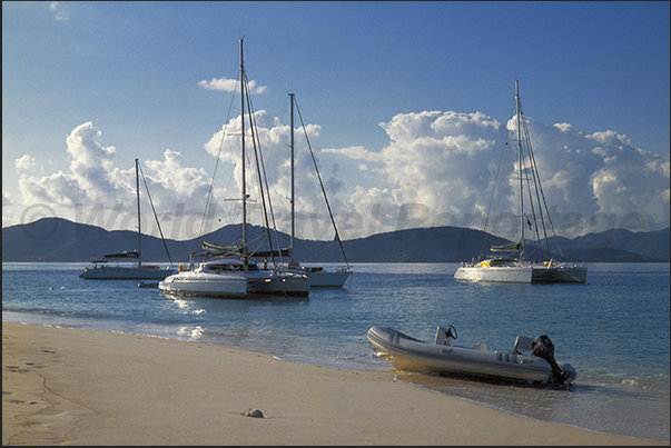 Return and anchor in front of Sandy Cay Island Beach