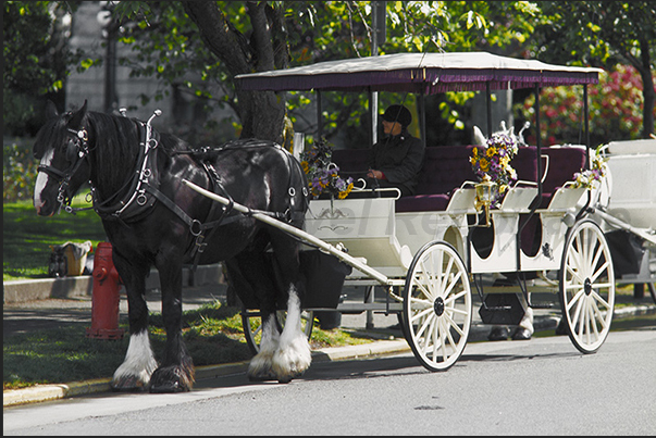 Carriage, scooters and bicycles, are the means most used by tourists to visit the city of Victoria