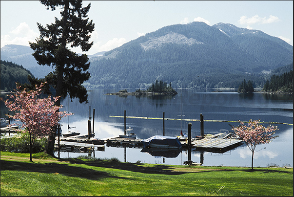 Port Alice (northwest coast), a small town situated at the bottom of a long fjord that penetrates the island Port Alice (northwest coast), a small town situated at the bottom of a long fjord that penetrates the island