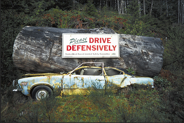 Along the interior roads, beware of large trucks carrying timber from the forests to the sawmills Along the interior roads, beware of large trucks carrying timber from the forests to the sawmills