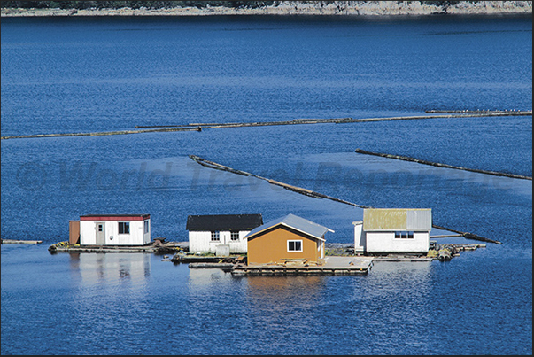 Woodcutters houses in the fjords, close to the timber harvesting areas that descends from the rivers Woodcutters houses in the fjords, close to the timber harvesting areas that descends from the rivers