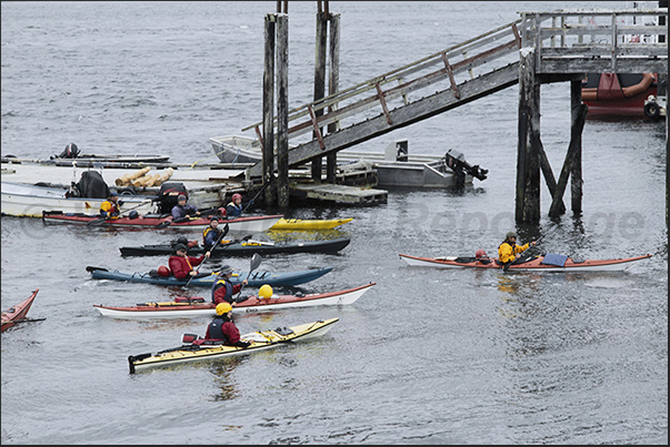 Tofino Bay. Kayaking along the coast