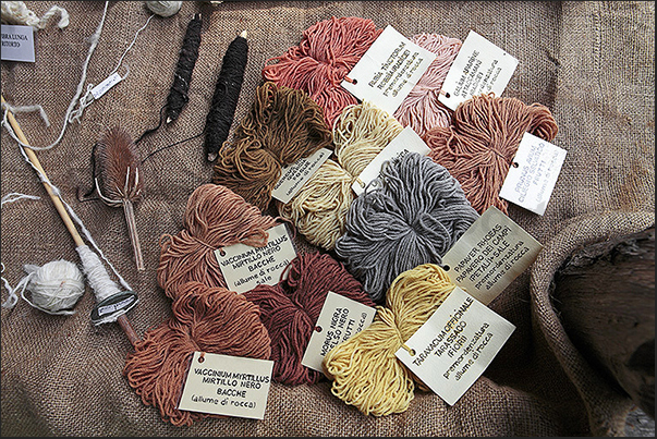 Villarbasse. Experimentation field. Raw wool, colored with natural colors Villarbasse. Experimentation field. Raw wool, colored with natural colors