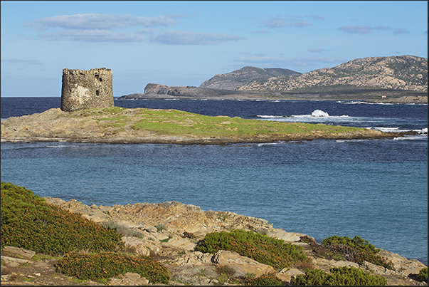 Stintino. The Aragonese tower, built in 1578, called Pelosa Tower and, on the horizon, Asinara Island