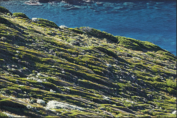 The clear waters of Nurra Coast, name of the territory in this part of Sardinia