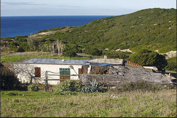 Plateau of Nurra. Along the way you encounter houses used by shepherds