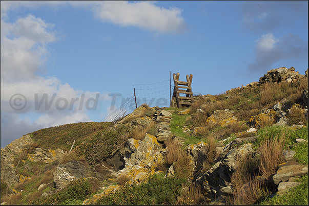 To overcome the barbed wire that separates the farms, are used wooden stairs frequent along the path