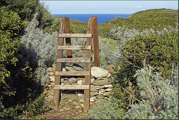 To overcome the barbed wire that separates the farms, are used wooden stairs frequent along the path To overcome the barbed wire that separates the farms, are used wooden stairs frequent along the path
