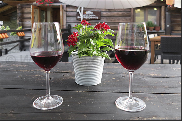 A glass of wine before dinner at La Gruba shelter A glass of wine before dinner at La Gruba shelter