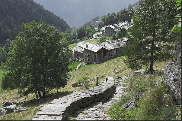 The trails that leave the village of Gruba