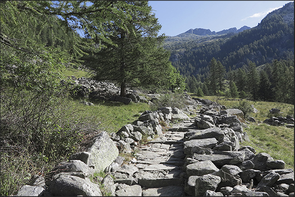 Ancient trails perfectly preserved lead to the Mologna Pass