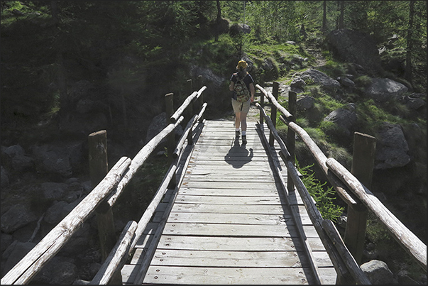 Along the paths, numerous wooden bridges exceed small creeks