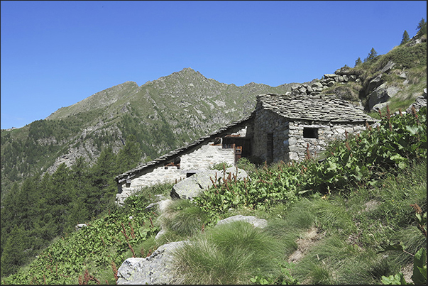 Along the footpaths you will find many alpine houses some well-preserved and inhabited by shepherds