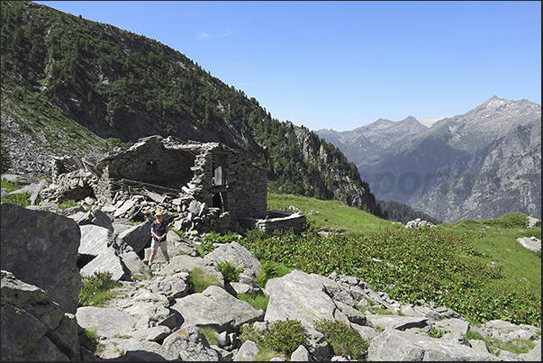 More you climb up, more the mountain is abandoned More you climb up, more the mountain is abandoned