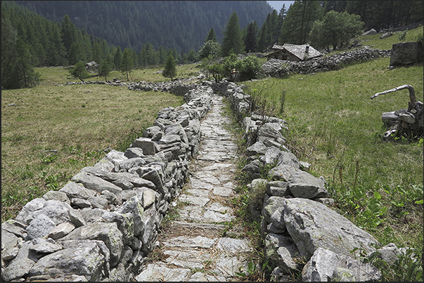 Towards the valley the paths are perfectly preserved