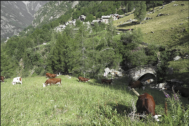 The alpine villages of Niel and Gruba The alpine villages of Niel and Gruba