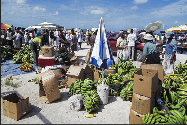 Market of Marigot, the capital of the French island Market of Marigot, the capital of the French island