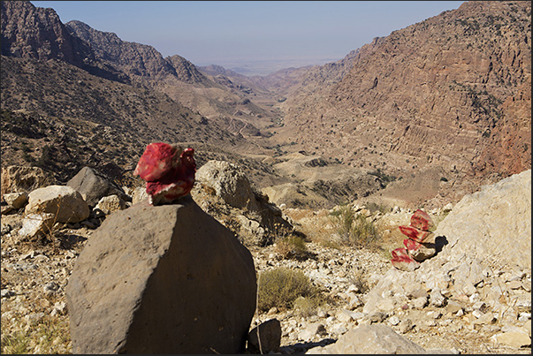 Dana Valley