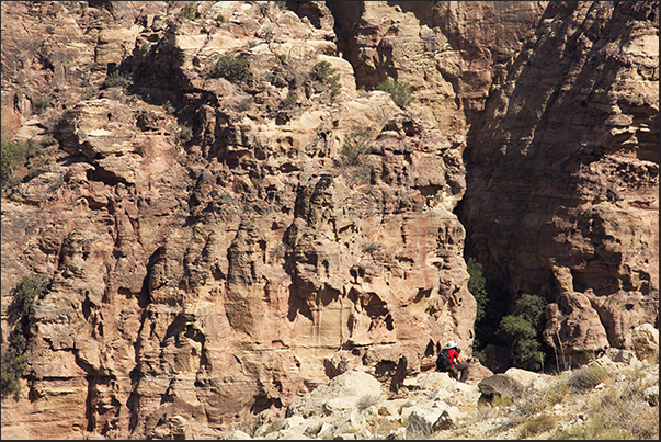 Dana Biosphere Reserve. Upper part of the reserve on the trail to Feynan Dana Biosphere Reserve. Upper part of the reserve on the trail to Feynan