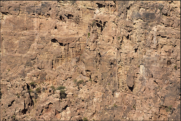 The trail from Dana village to Feynan crosses the reserve between high rock walls The trail from Dana village to Feynan crosses the reserve between high rock walls