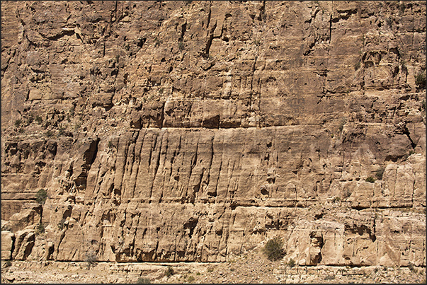 The trail from Dana village to Feynan crosses the reserve between high rock walls The trail from Dana village to Feynan crosses the reserve between high rock walls