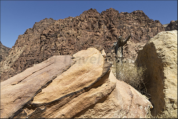 The trail from Dana village to Feynan crosses the reserve between high rock walls where there are some Nabatean tombs