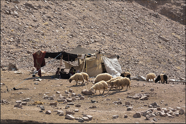 At the end of the valley, meet the tents of nomadic shepherds living on the edge of the desert At the end of the valley, meet the tents of nomadic shepherds living on the edge of the desert