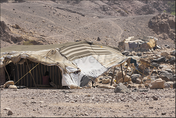 At the end of the valley, meet the tents of nomadic shepherds living on the edge of the desert At the end of the valley, meet the tents of nomadic shepherds living on the edge of the desert