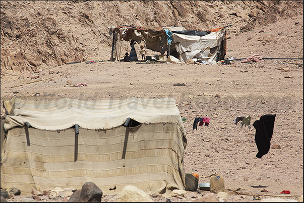 At the end of the valley, meet the tents of nomadic shepherds living on the edge of the desert At the end of the valley, meet the tents of nomadic shepherds living on the edge of the desert