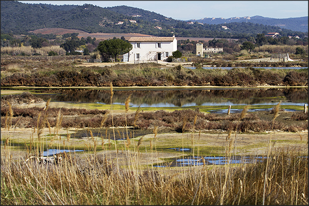 Pond of Anglais between Hyeres and the beach Pond of Anglais between Hyeres and the beach