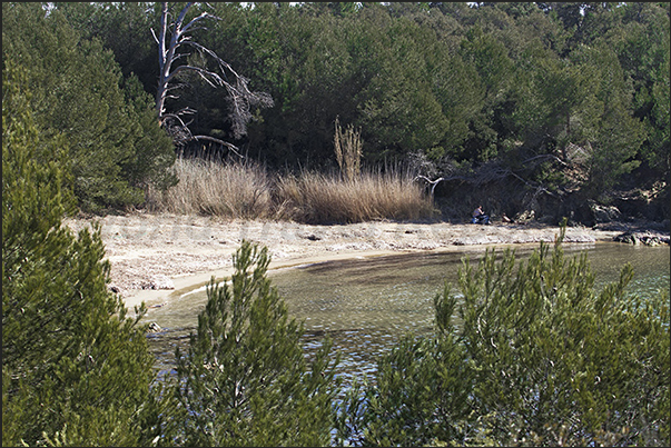 The coastal trail runs along the rocky bay before Léoube beach