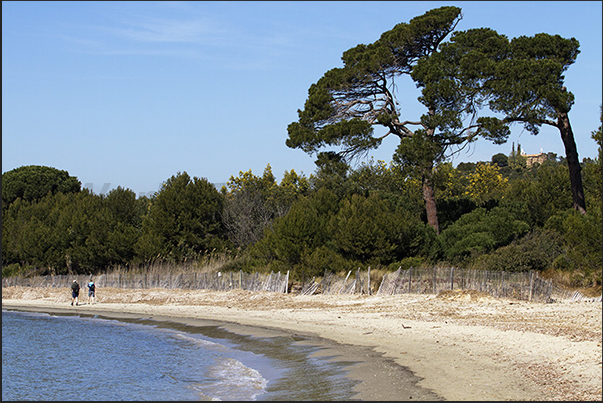 The beach of Léoube between La Londe and Cabasson The beach of Léoube between La Londe and Cabasson