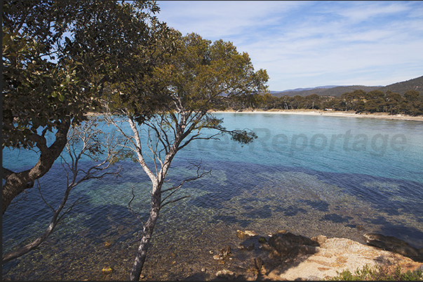 The clear waters of the bays along the trail, are the main feature of the coast The clear waters of the bays along the trail, are the main feature of the coast