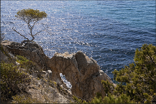 Before Brégançon Bay, the trail rises on the rocky cliffs