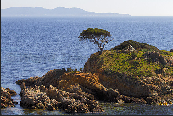 The islands of Port Cros and du Levant on the horizon