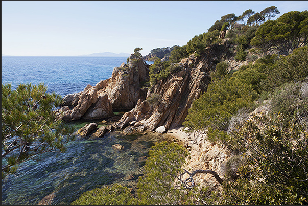 Before Brégançon Bay, the trail rises on the rocky cliffs. On the horizon, the island of Porquerolles Before Brégançon Bay, the trail rises on the rocky cliffs. On the horizon, the island of Porquerolles