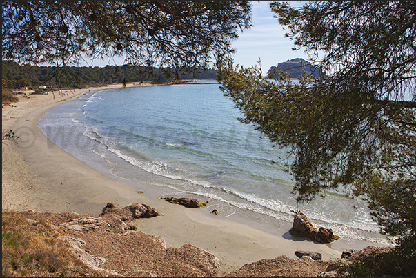 The Cabasson beach in Brégançon bay The Cabasson beach in Brégançon bay