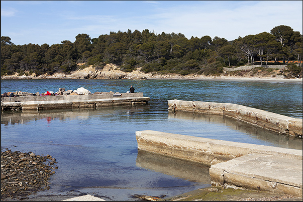 The small port of Cabasson in Brégançon Bay The small port of Cabasson in Brégançon Bay