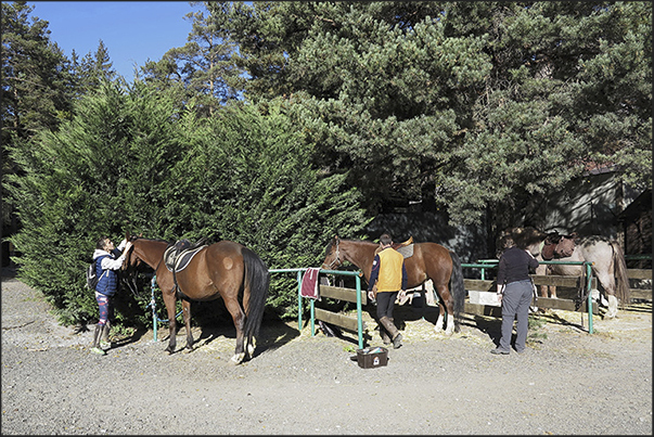 Alvorada Alpine Riding Center (1105 m). Horses preparation